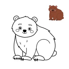 Coloring book for children. Forest animals collection. Cartoon cute bear.