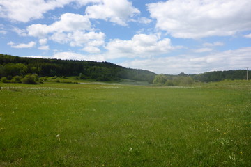 les fleurs, les arbres et les paysages