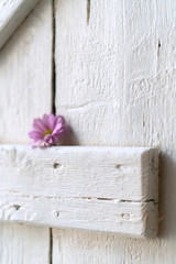 White wooden shabby shutter with colorful garden flower