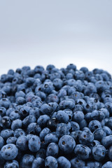Fresh blueberry background. Texture blueberry berries close up.