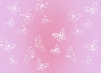 butterfly insect, butterflies seamless illustration on pink background