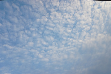 Fototapeta premium cloudy sky landscape