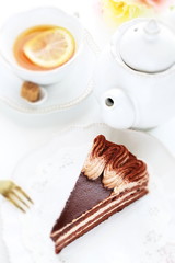 Piece of chocolate cake with copy space