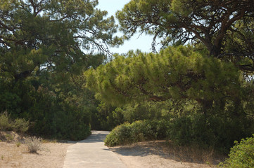 The natural reserve of Ölüdeniz, Turkey