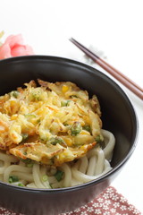 Japanese food, edamame and vegetable tempura