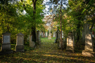 Old gravestones in a park in Vienna in autumn