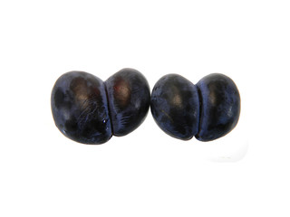 blue plum isolated on white background