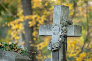 Detail of an old gravestone in St. Marx Cemetery in autumn