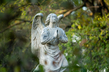 Detail of an old gravestone in St. Marx Cemetery in autumn