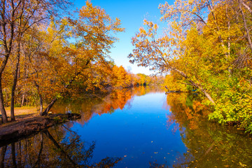 Fototapeta na wymiar Golden autumn park,Autumn forest lake water landscape, Forest lake in fall, USA 