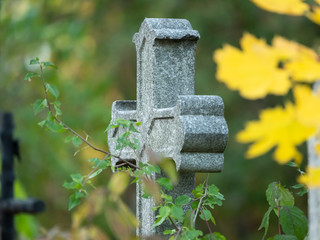 Detail of an old gravestone in St. Marx Cemetery in autumn