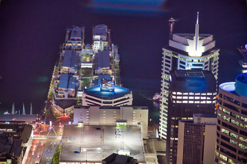 Amazing aerial view of Auckland skyline at night. City buildings and skyscrapers, New Zealand