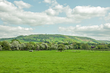 Fototapeta na wymiar Summertime landscape in Herefordshire, England
