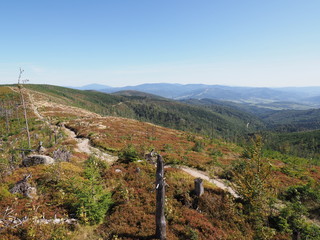 Path at silesian Beskids Mountains range landscape near Salmopol pass in Poland in September