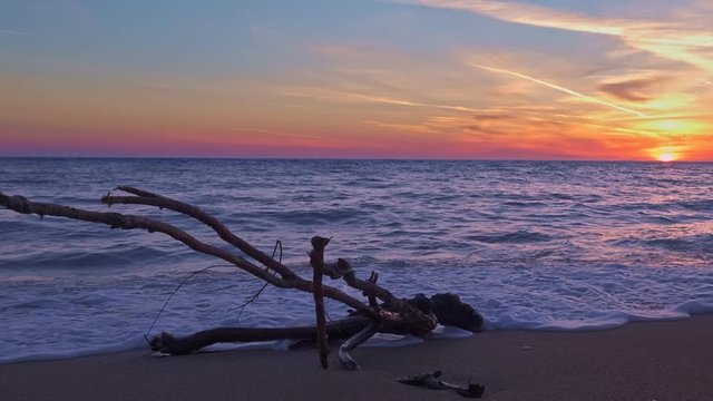 Piece of driftwood in tidal waves at beautiful tropic sunset