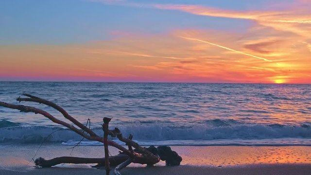 Piece of driftwood in tidal waves at beautiful tropic sunset