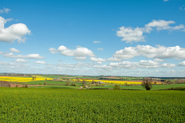 Springtime landscape in Herefordshire, England