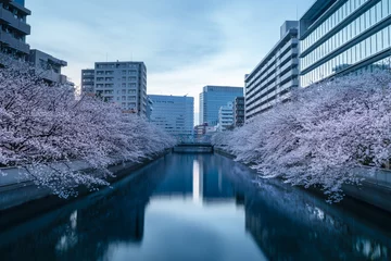 Foto op Plexiglas 東京門前仲町　大横川沿いの桜並木の景色 © JunSome