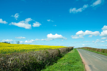 Summertime country road in England