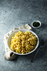 Homemade macaroni with cheese sauce