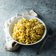 Homemade macaroni with cheese sauce