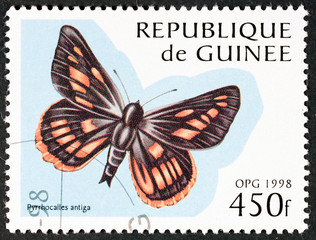 Fototapeta na wymiar Stamp from ecuatorial republic of Guinea with a photo of a beautiful single butterfly on paper