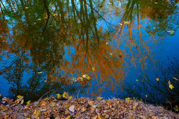 Golden autumn park,Autumn forest lake water landscape, Forest lake in fall, USA 