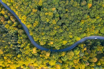 Landstraße im Herbst © erika8213