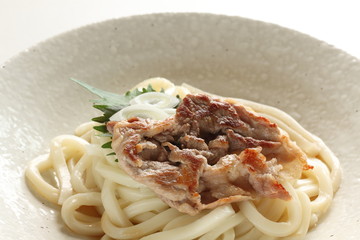 Japanese food, grilled pork and cold udon noodles