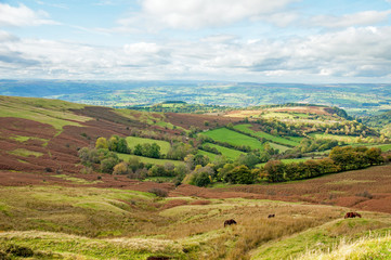 Black mountains in the summertime.