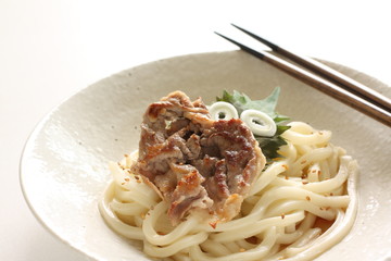 Japanese food, grilled pork and cold udon noodles