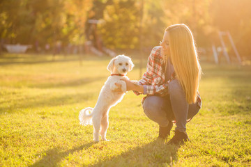 Fototapeta premium Beautiful woman spending time with her Maltese dog outdoor. 