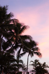 Fototapeta na wymiar Sunset at Waikiki a part of Honolulu Hawaii, USA