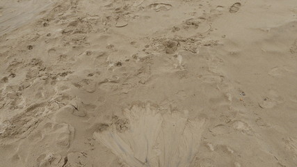 Bournemouth beach, Dorset, England, in the summertime