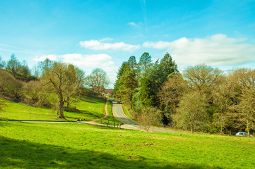 Springtime trees in the Malvern hills