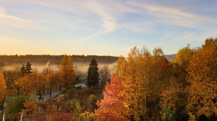Fototapeta premium Poranne jesienne mgły