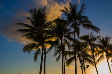 Obraz na płótnie Canvas Sunset at Waikiki a part of Honolulu Hawaii, USA