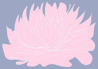 Fototapeta na wymiar The Mystical Purity of a Lotus: the Buddhism enlightenment symbol Lotus flower: calm, harmony and compassion. Decorative work of art can be used as a greeting card, background, decorative fabric