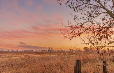 Wintery dawn on the fields.