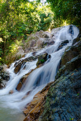 Obraz premium Wodospad w dżungli