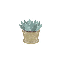 Hand painted succulent in a pot on a white background.
