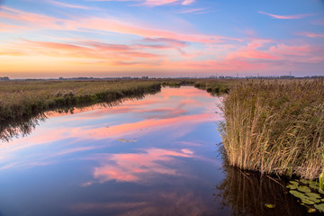 Fototapeta na wymiar River through marshland