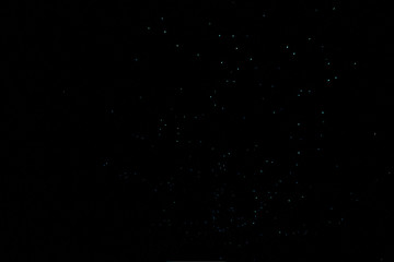 Waitomo Glowworm Caves, New Zealand