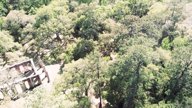 Old Sheldon Church near Beaufort, South Carolina. Panoramic aerial view with forest trees