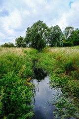 Fototapeta na wymiar Small river seen in the middle of a meadow during mid summer in a rural location.