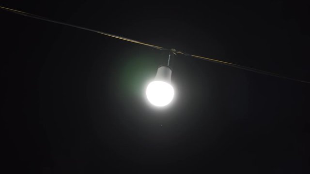 LED Lights Bulbs Diode on a Black Background