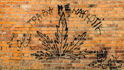 The inscription on the brick wall "marijuana is not a drug". marijuana concept on the wall. marijuana graffiti on the wall, Drohobych city, Ukraine