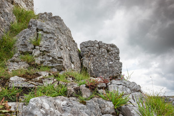 Fototapeta premium Dramatic view of glacial rocks seen atop Malham Cove in the heart of the Yorkshire Dales. Flora can be seen growing between these Ice Age rocks.