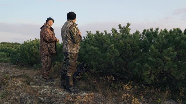 hunters hide behind a cedar bush watching prey
