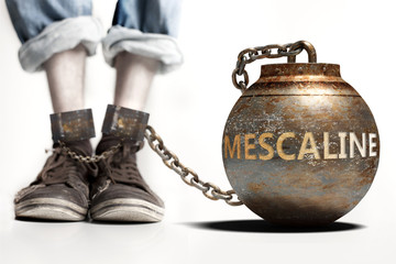Mescaline can be a big weight and a burden with negative influence - Mescaline role and impact symbolized by a heavy prisoner's weight attached to a person, 3d illustration - obrazy, fototapety, plakaty